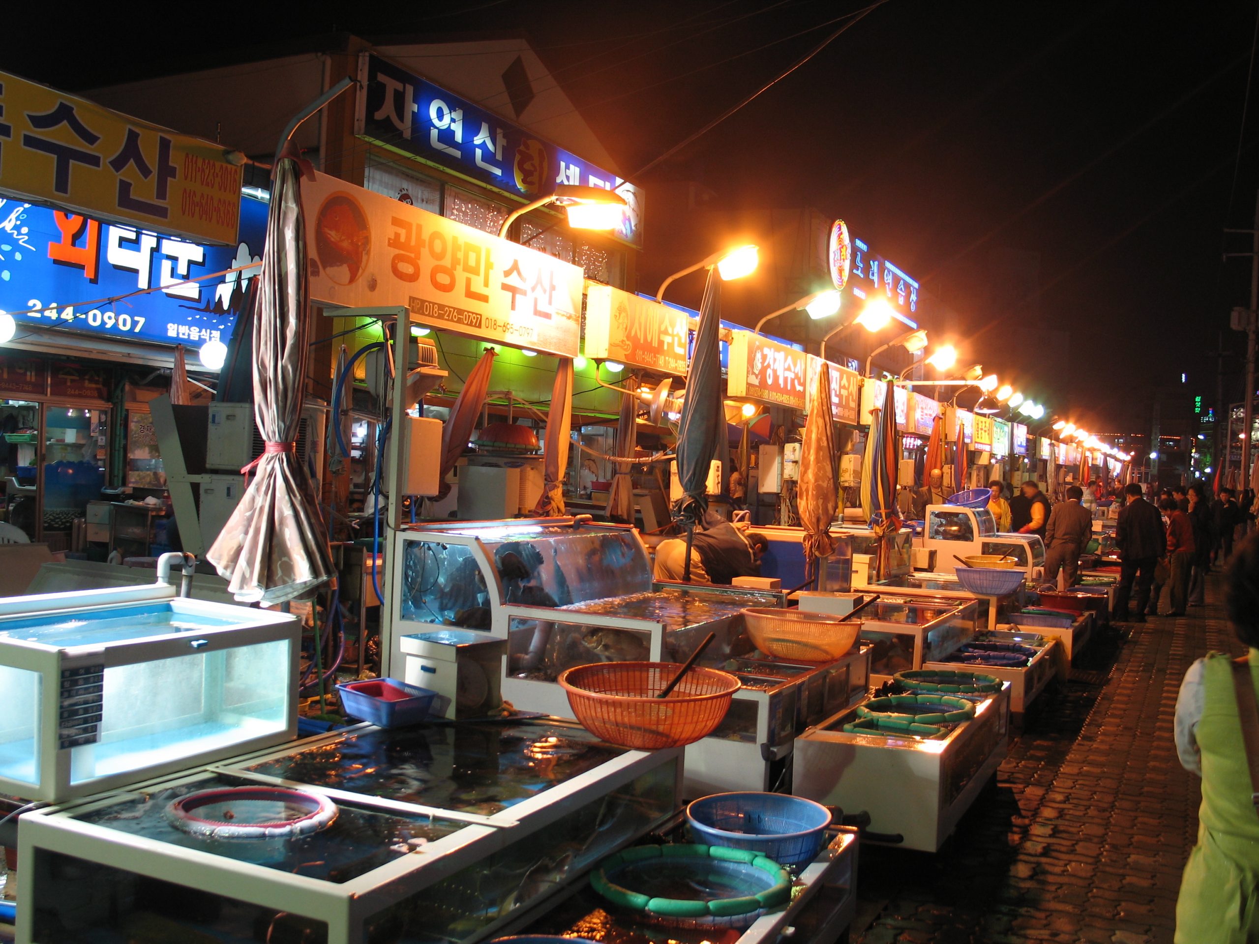 Fish displayed at a Korean market — Mokpo's fish market lets you pick your own catch